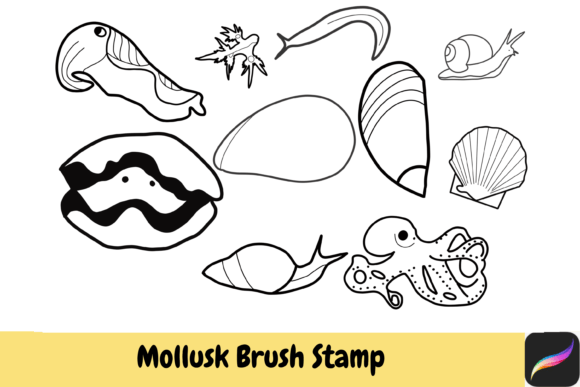 Mollusk Brush Stamps for Procreate iPad